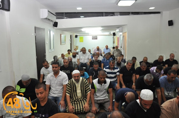 mohamed elfatekh3 (6).JPG